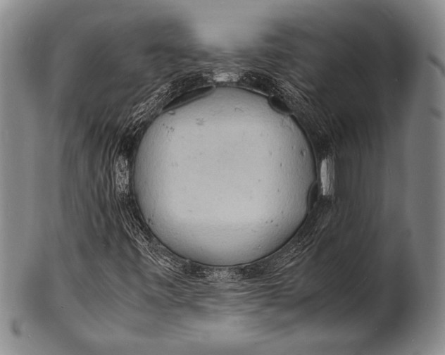 X0000100311443200806261151