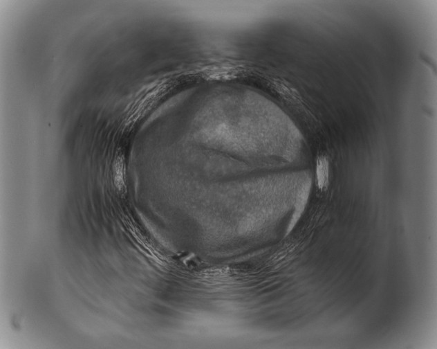 X0000100311444200806261151