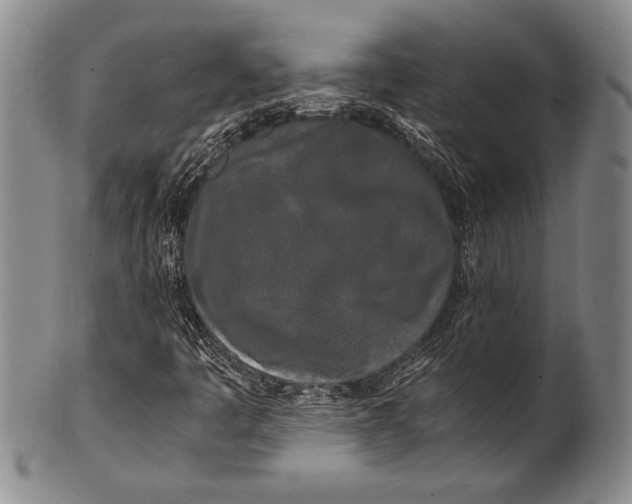 X0000100311445200806261151