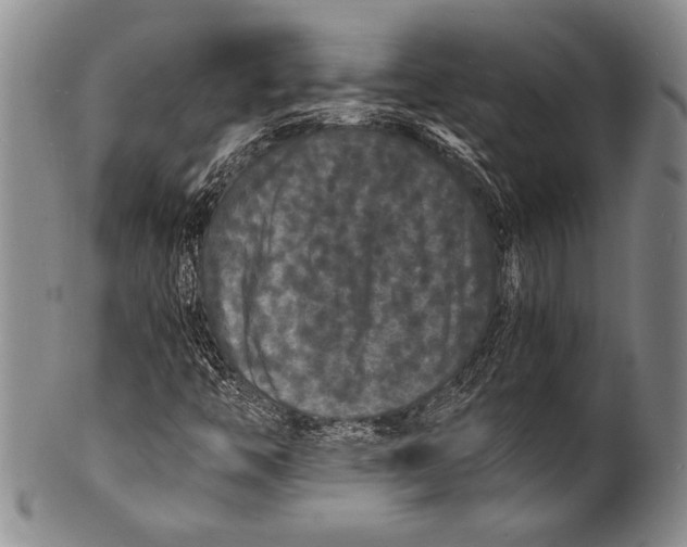 X0000100311446200806261151