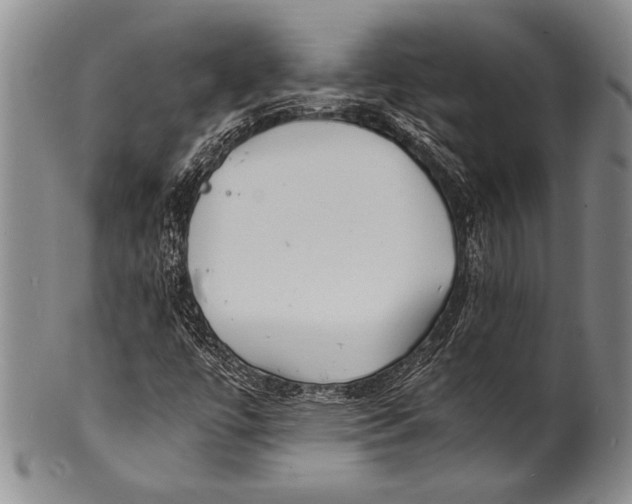 X0000100311447200806261151