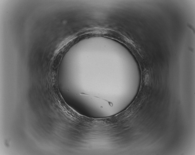 X0000100311448200806261151