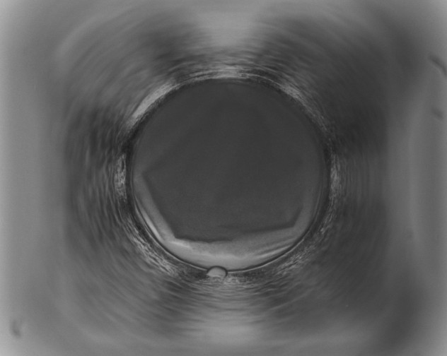 X0000100311450200806261151