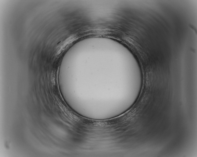 X0000100311451200806261151