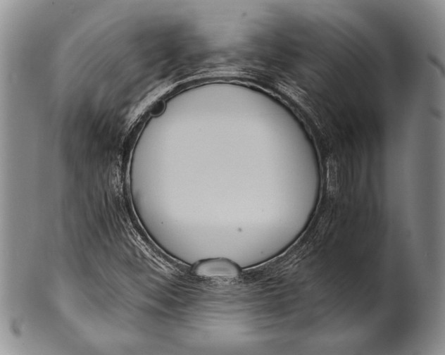 X0000100311452200806261151