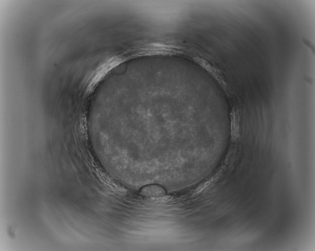 X0000100311453200806261151