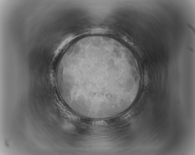 X0000100311454200806261151