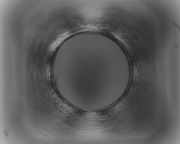 X0000100311455200806261151