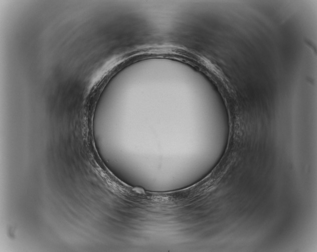 X0000100311456200806261151