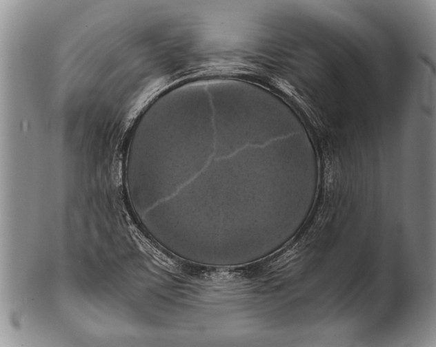 X0000100311459200806261151