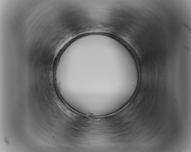 X0000100311460200806261151