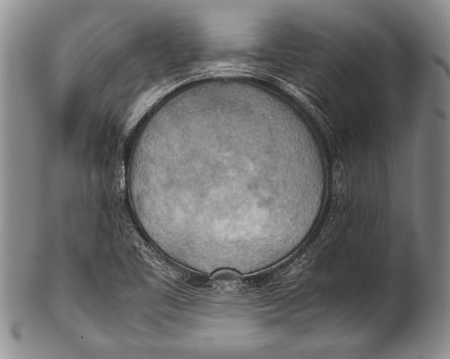 X0000100311461200806261151