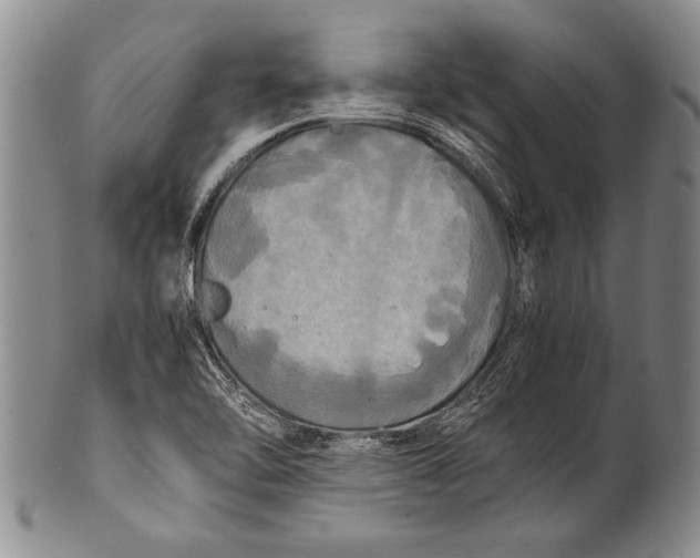 X0000100311462200806261151