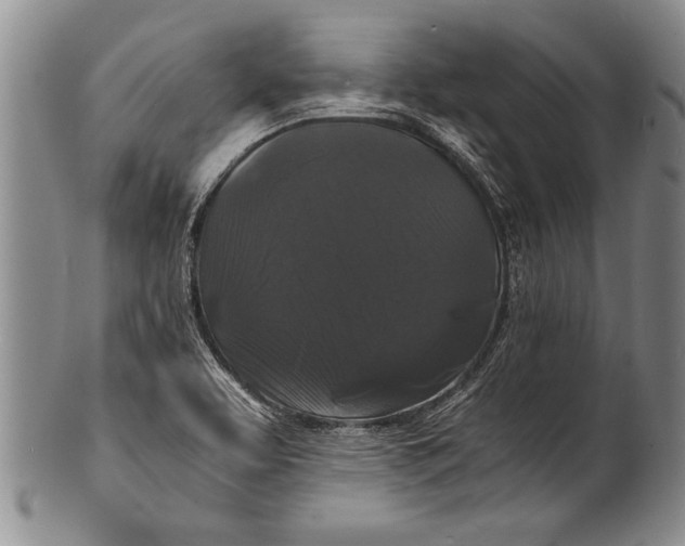 X0000100311463200806261151