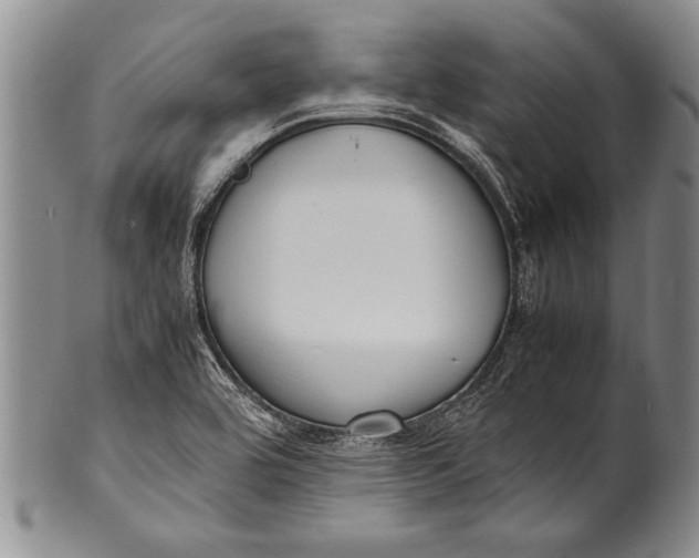 X0000100311464200806261151