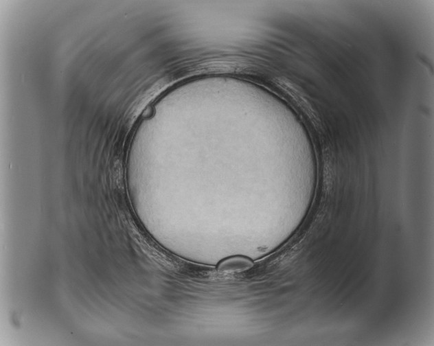 X0000100311465200806261151