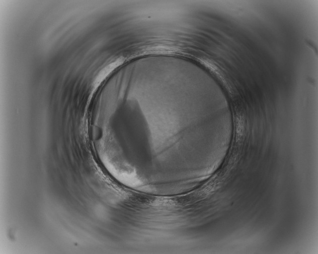 X0000100311466200806261151