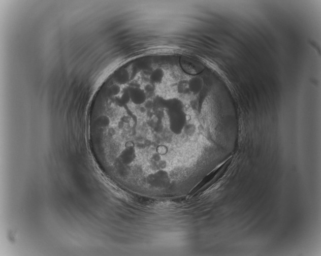 X0000100311467200806261151