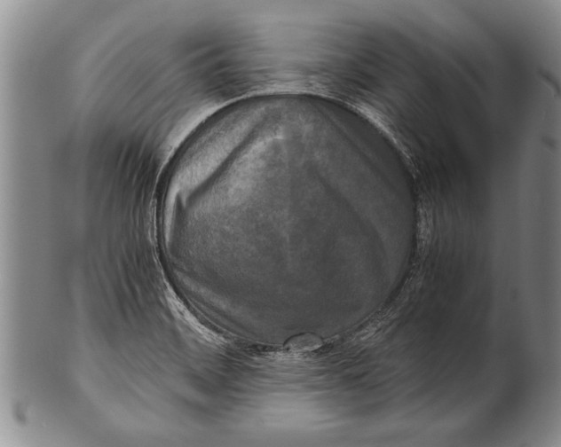 X0000100311468200806261151