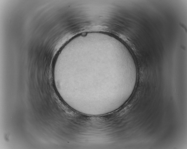 X0000100311469200806261151