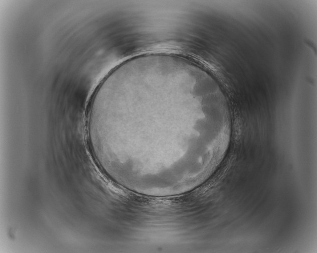 X0000100311470200806261151