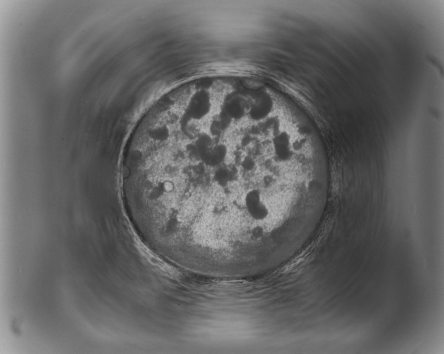 X0000100311471200806261151