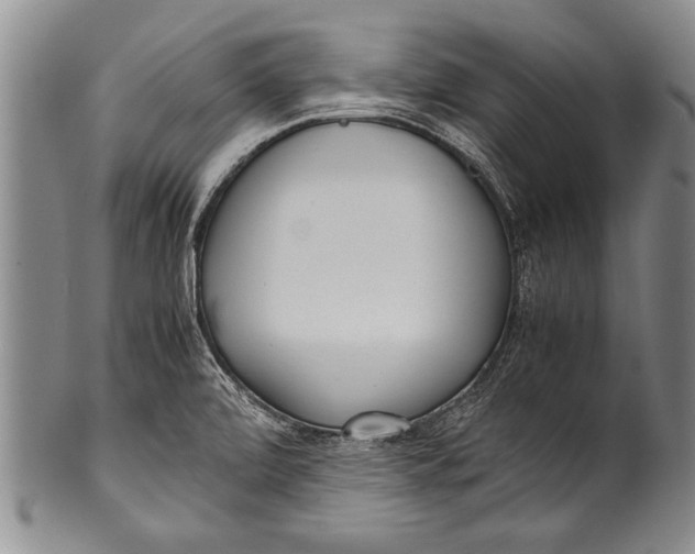 X0000100311472200806261151