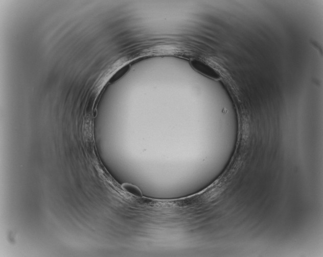 X0000100311473200806261151