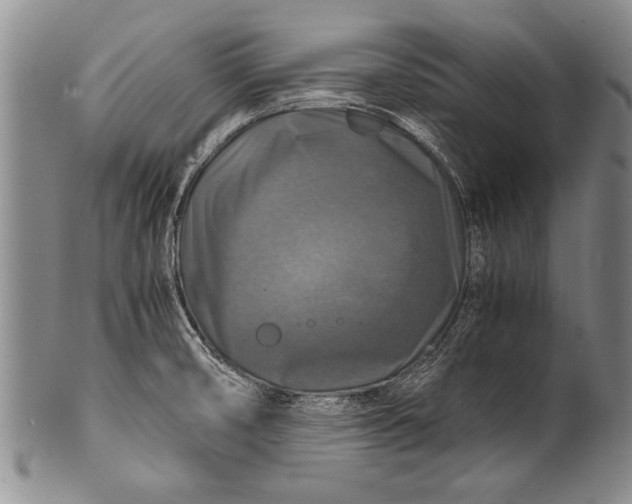 X0000100311474200806261151