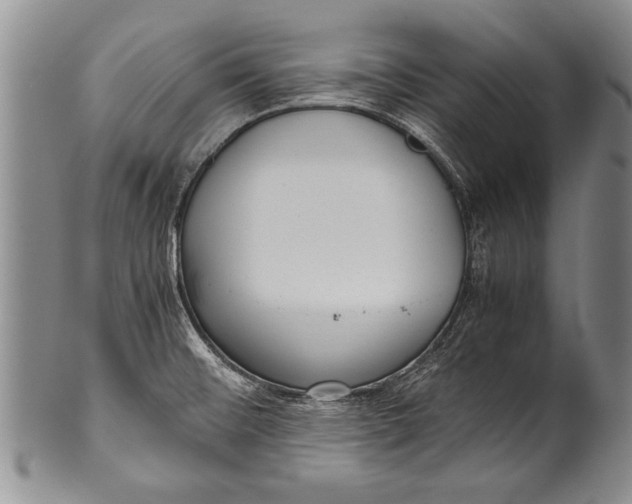 X0000100311476200806261151