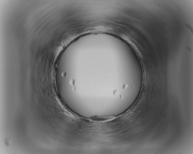 X0000100311477200806261151