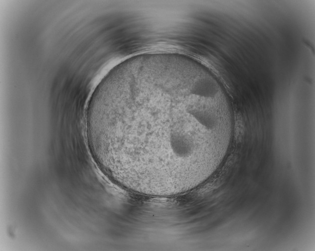 X0000100311478200806261151