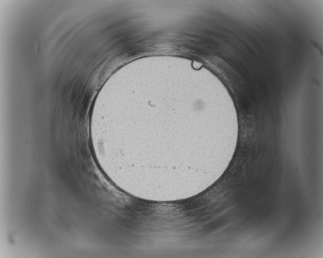 X0000100311479200806261151