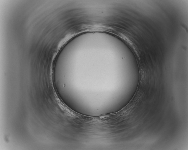 X0000100311480200806261150