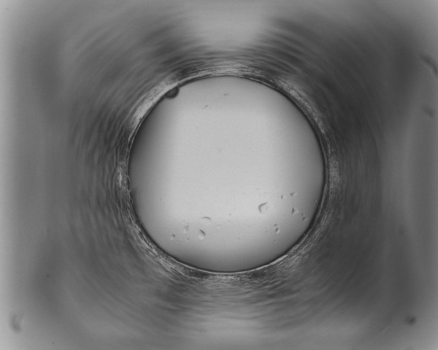 X0000100311481200806261150