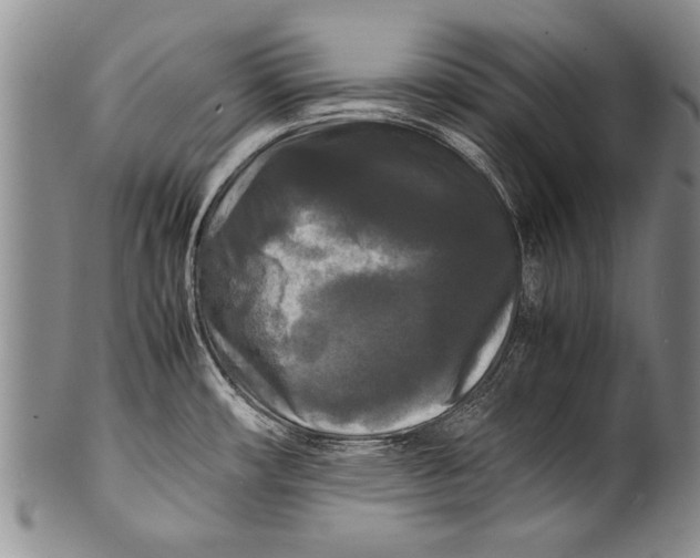 X0000100311482200806261150