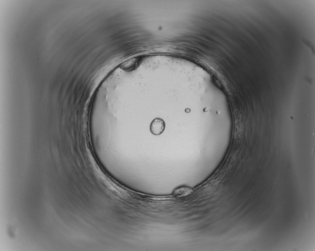 X0000100311483200806261150