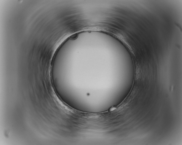 X0000100311484200806261150