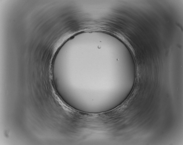 X0000100311485200806261150