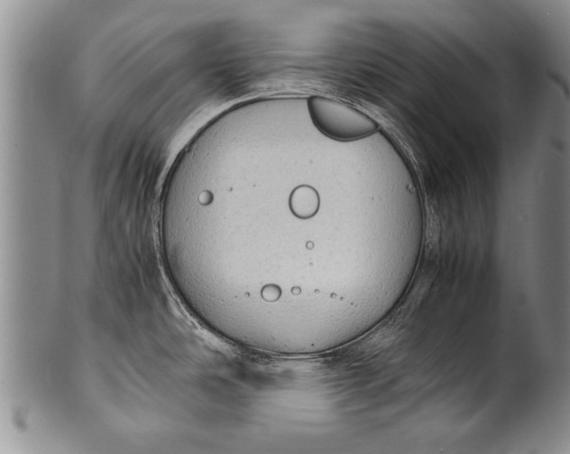 X0000100311486200806261150