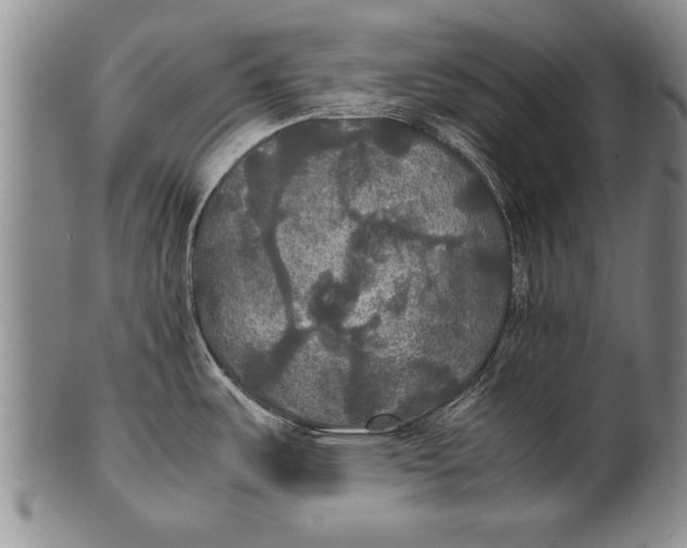 X0000100311487200806261150