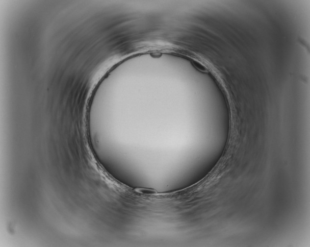 X0000100311488200806261150