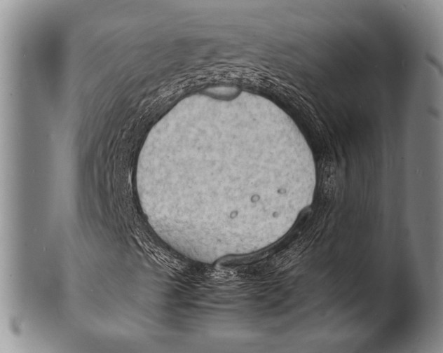 X0000100311489200806261150