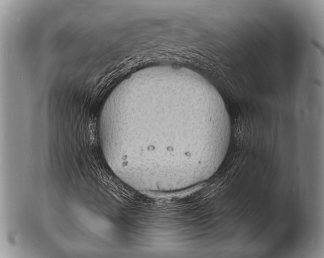 X0000100311490200806261150