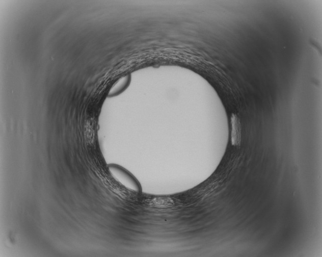 X0000100311491200806261150