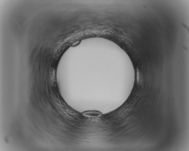 X0000100311492200806261150