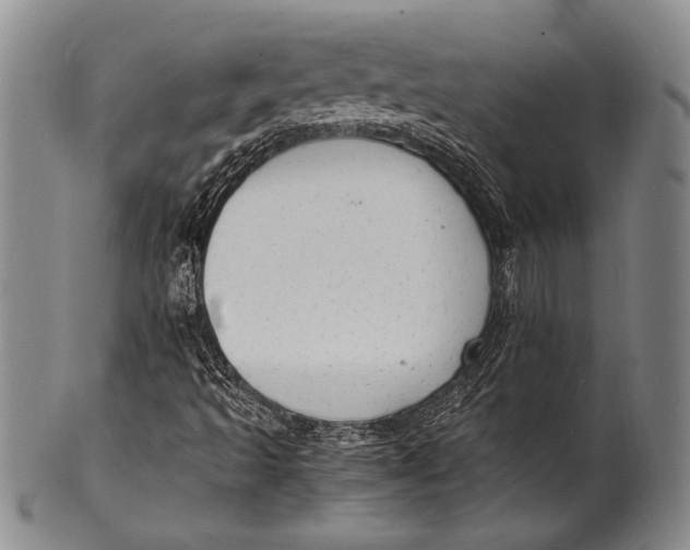 X0000100311493200806261150