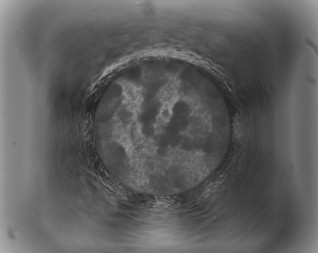 X0000100311494200806261150