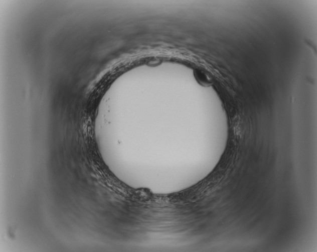 X0000100311495200806261150