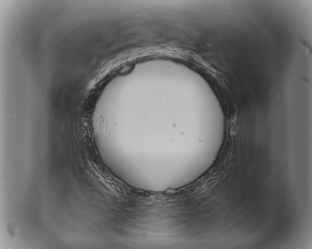 X0000100311496200806261150